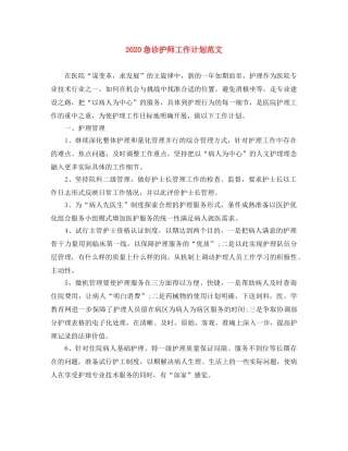 2020急诊护师工作计划范文 
