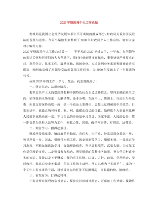 2020年财政局个人工作总结 