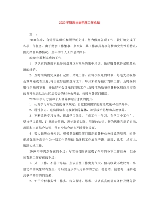 2020年财政出纳年度工作总结 