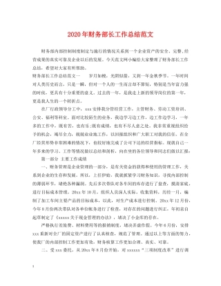 2020年财务部长工作总结范文 