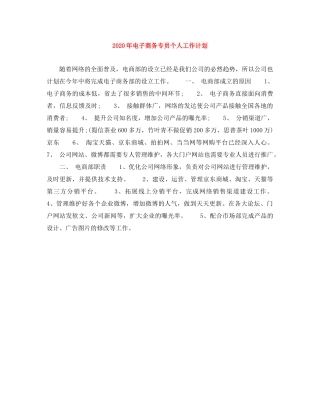 2020年电子商务专员个人工作计划 