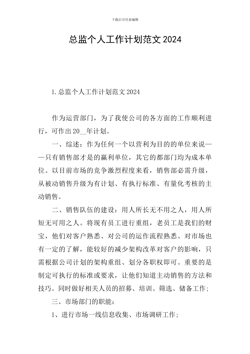 总监个人工作计划范文2024_第1页