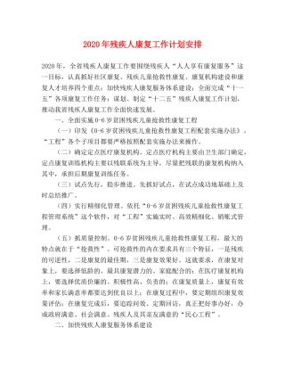2020年残疾人康复工作计划安排 