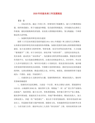 2020年村级未来三年发展规划 