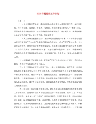 2020年村综治工作计划 