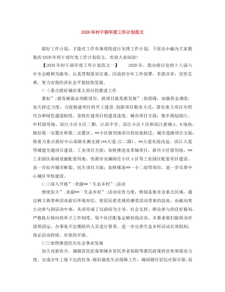 2020年村干部年度工作计划范文 