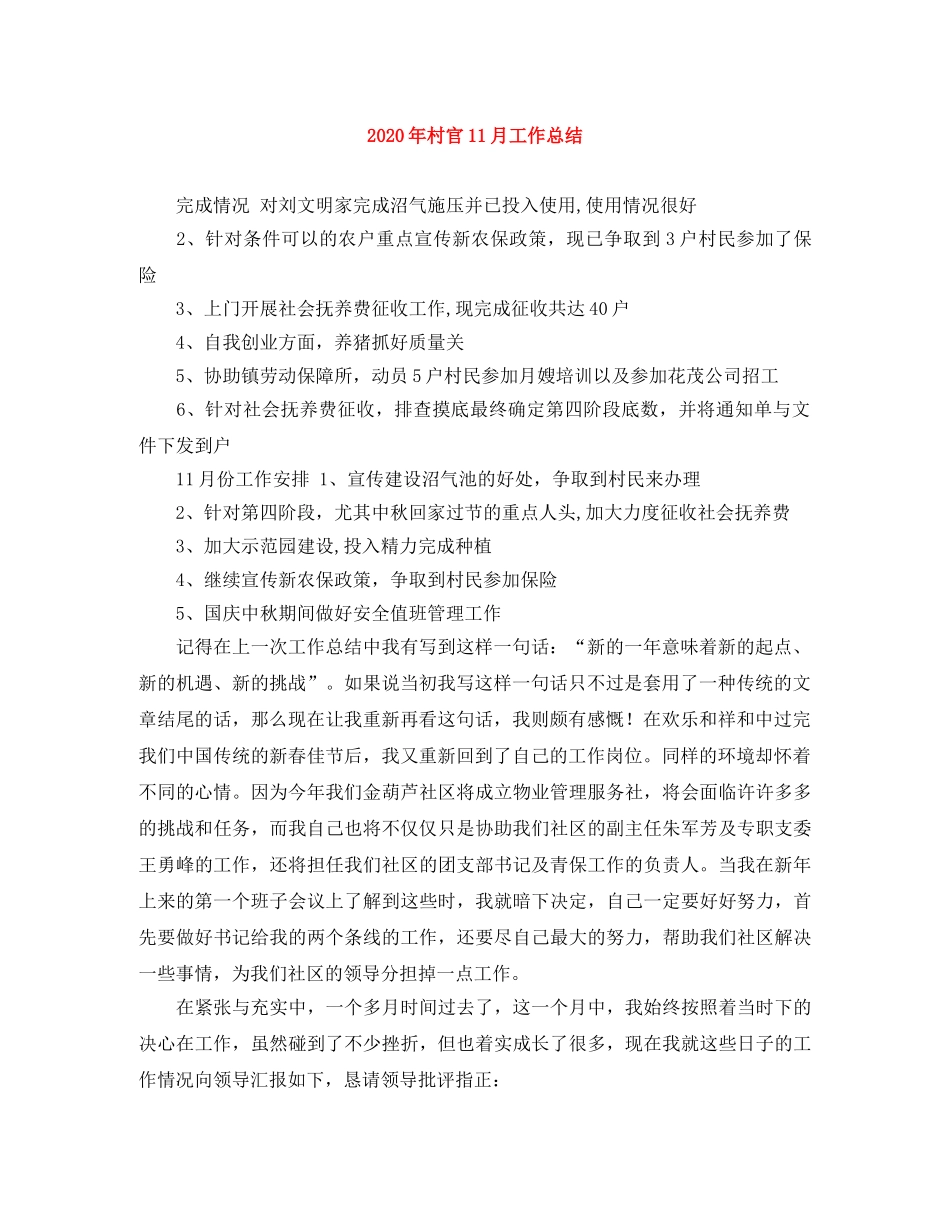 2020年村官11月工作总结 _第1页