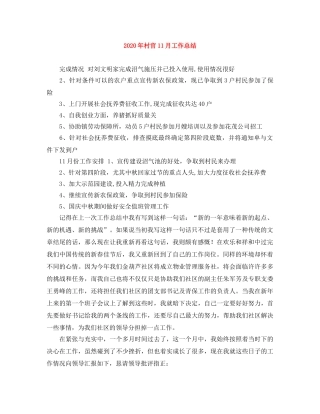 2020年村官11月工作总结 
