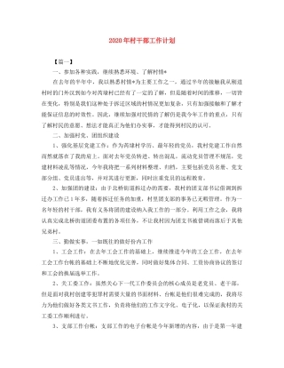 2020年村干部工作计划 