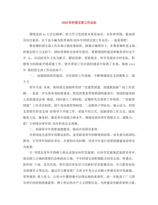 2020年村团支部工作总结 