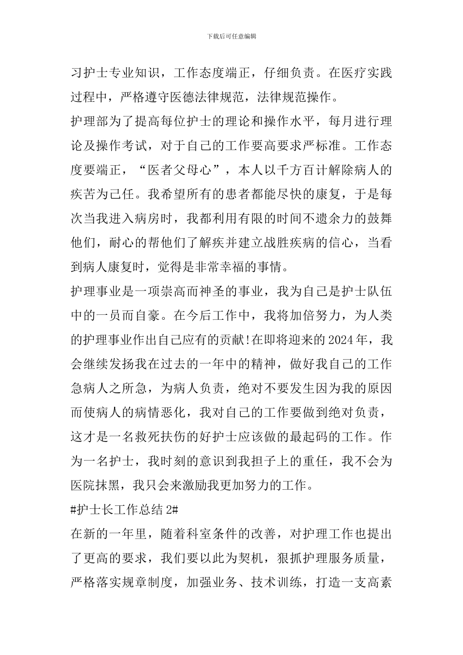 病房护士长工作年终总结模板_第2页