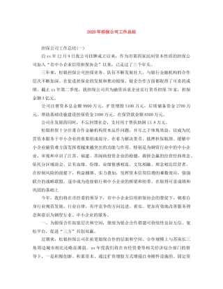 2020年担保公司工作总结 