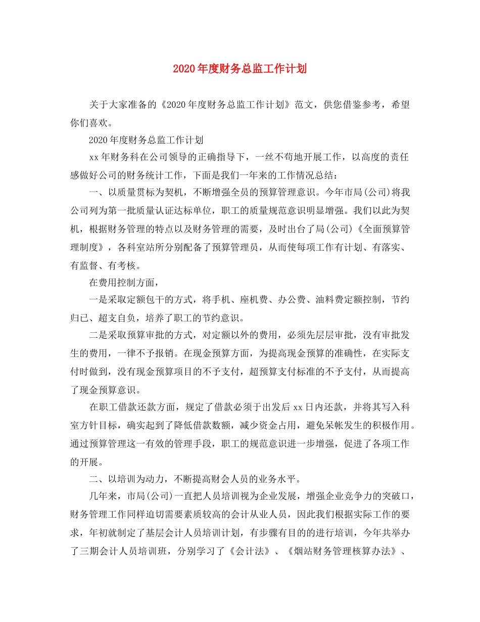2020年度财务总监工作计划 _第1页