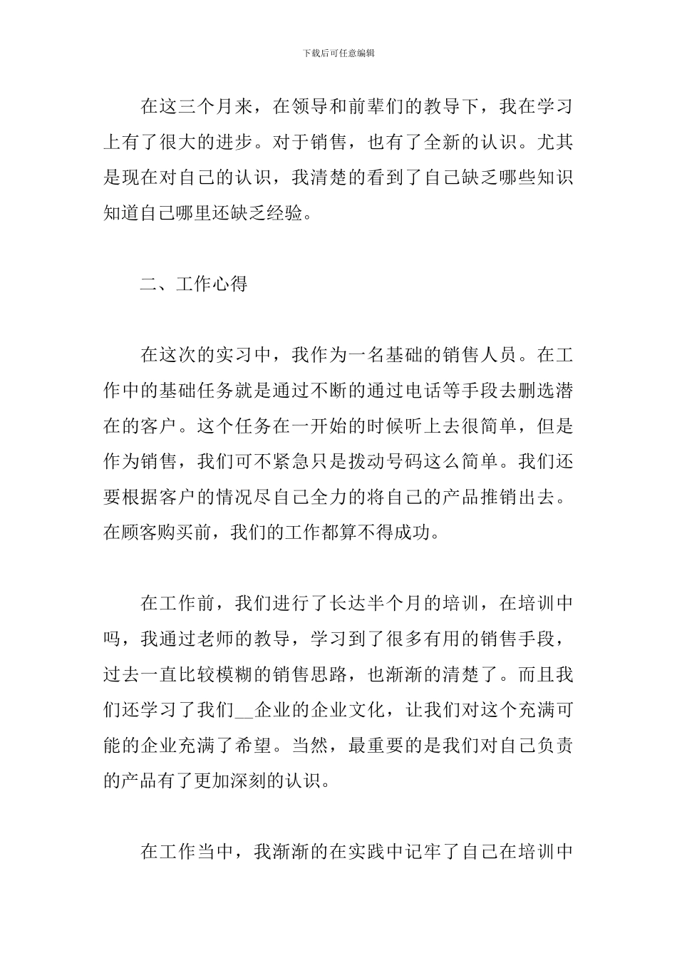 2024销售业务员实习总结_第2页