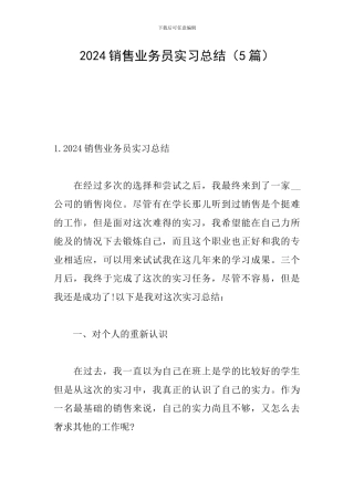 2024销售业务员实习总结