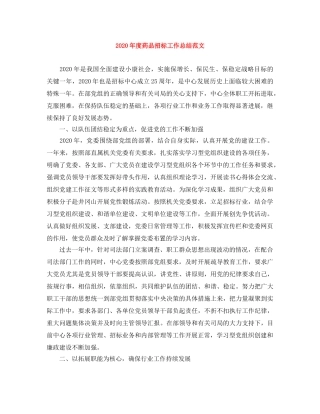 2020年度药品招标工作总结范文 