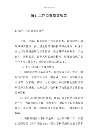 统计工作自查整改报告