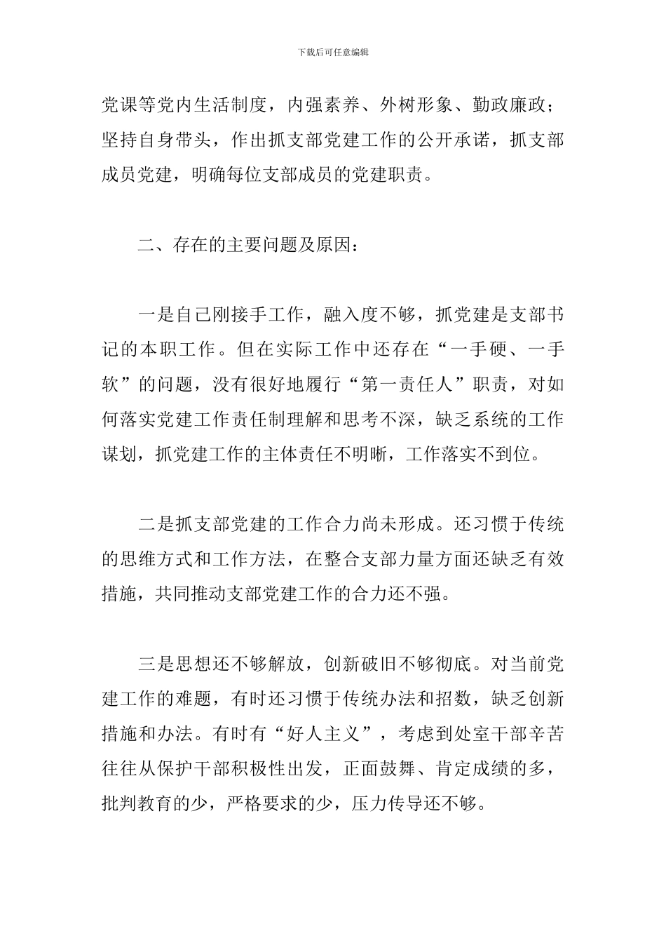 2024党支部书记述职报告_第3页