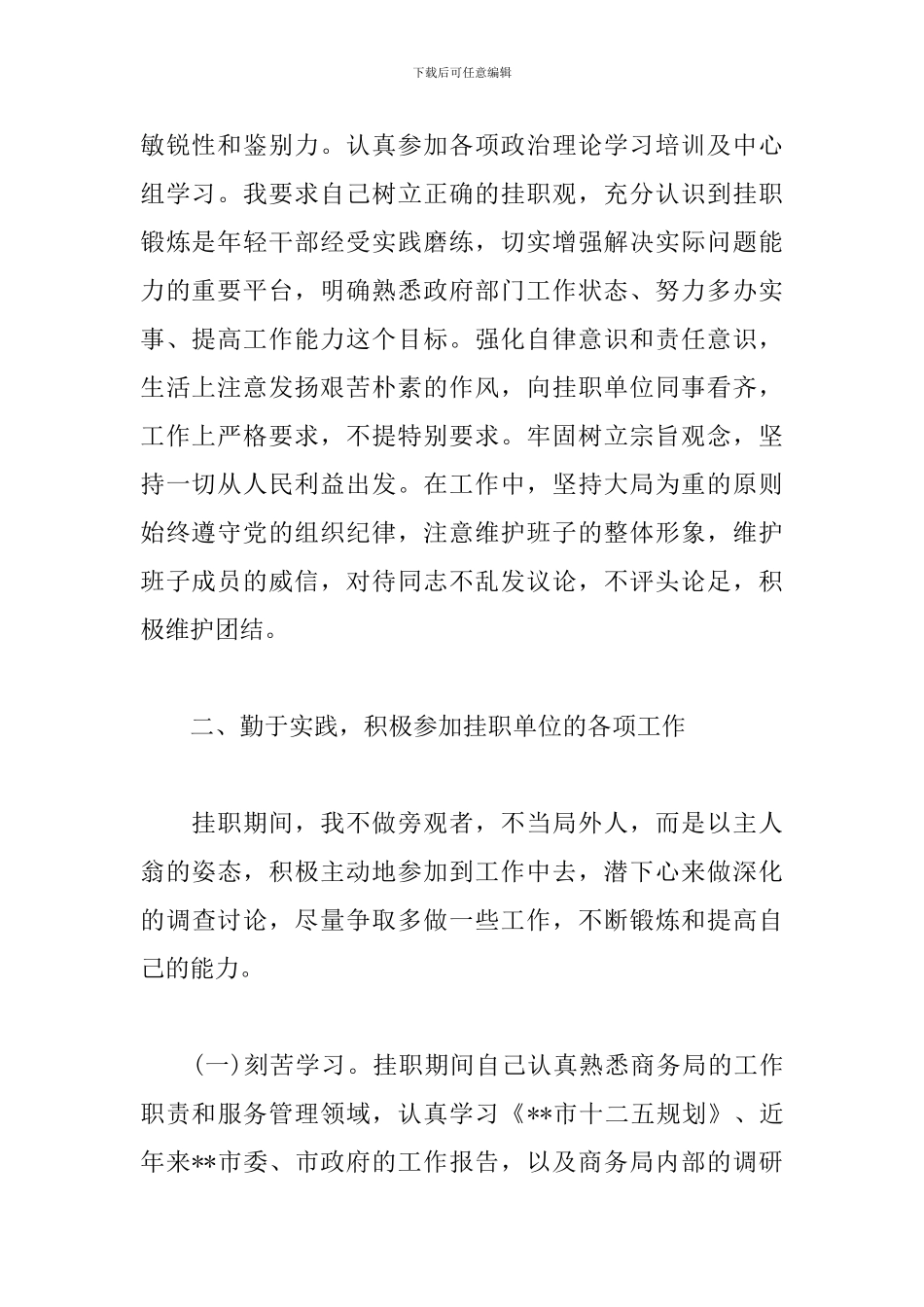 2024年挂职锻炼工作总结范文_第2页