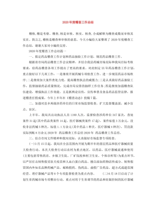 2020年度稽查工作总结 