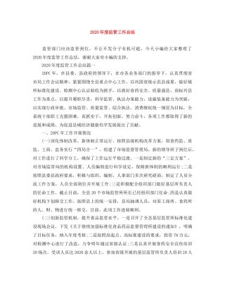 2020年度监管工作总结 