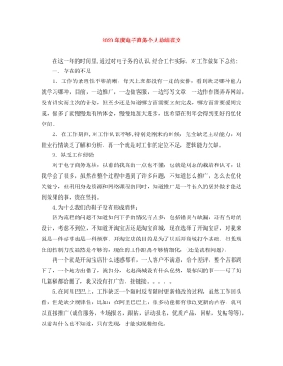 2020年度电子商务个人总结范文 