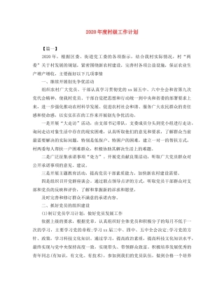 2020年度村级工作计划 
