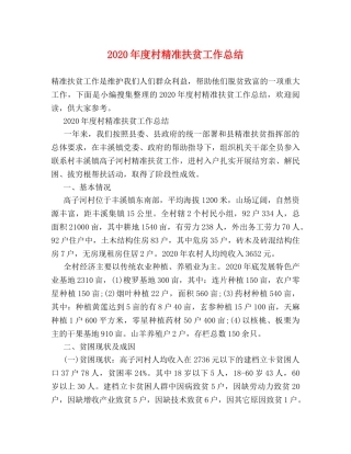 2020年度村精准扶贫工作总结 