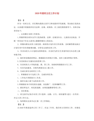 2020年度村主任工作计划 