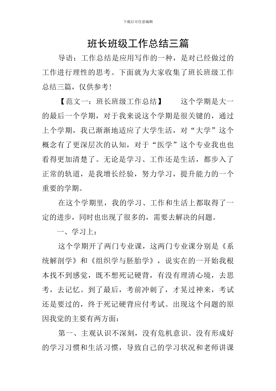 班长班级工作总结三篇_第1页