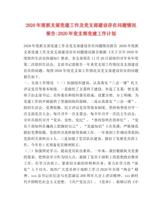 2020年度抓支部党建工作及党支部建设存在问题情况报告-2020年党支部党建工作计划 