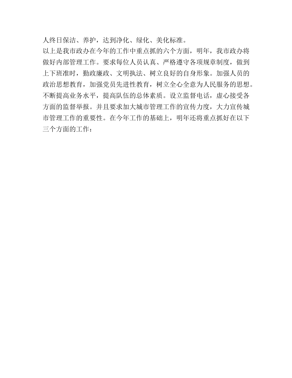 2020年度市政办全年工作总结 _第3页