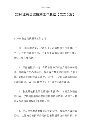 2024业务员试用期工作总结