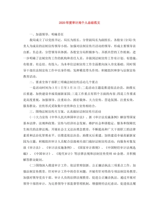 2020年度审计局个人总结范文 
