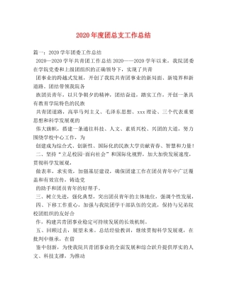 2020年度团总支工作总结 
