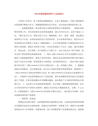2020年度初级经济师个人总结范文 