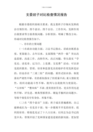 支委班子对照检查情况报告
