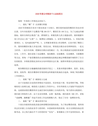 2020年度公司税务个人总结范文 