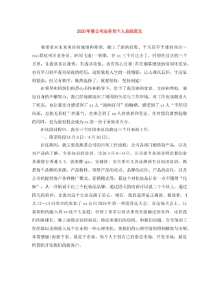 2020年度公司业务员个人总结范文 
