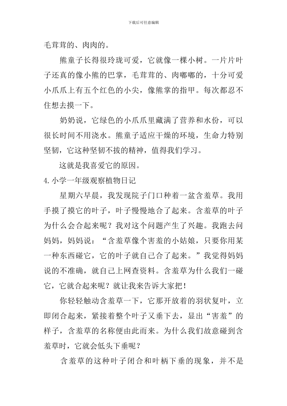 小学一年级观察植物日记_第3页