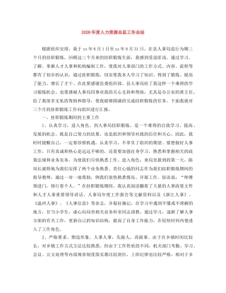 2020年度人力资源总监工作总结 