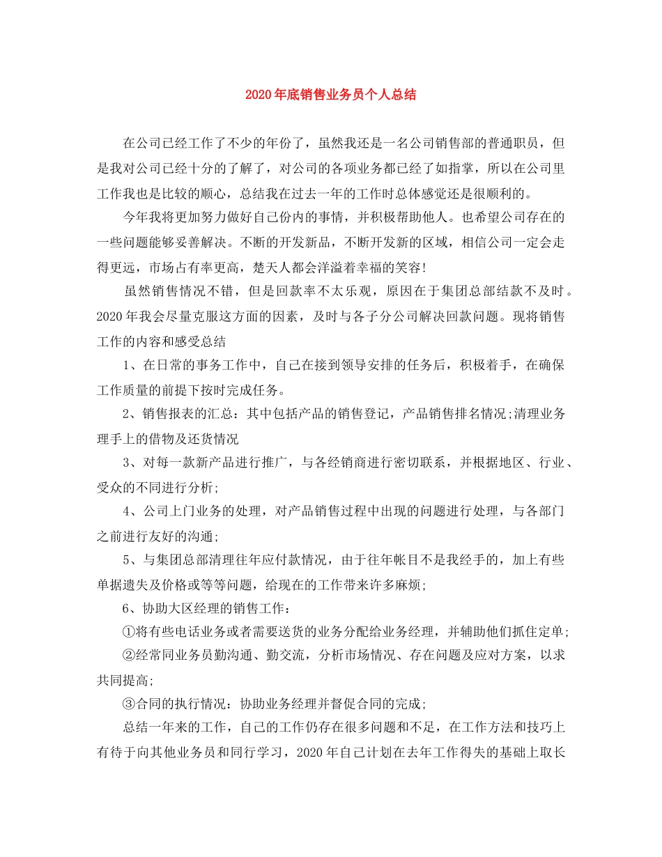 2020年底销售业务员个人总结 _第1页
