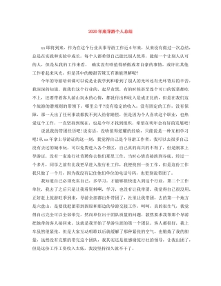 2020年底导游个人总结 