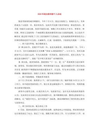 2020年底全陪导游个人总结 