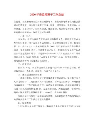 2020年安监局班子工作总结 