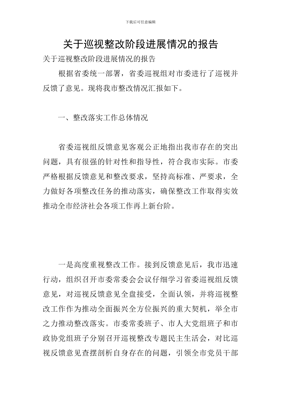 关于巡视整改阶段进展情况的报告_第1页