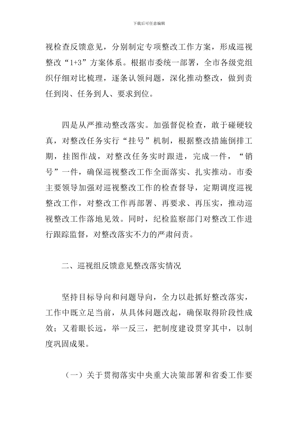 关于巡视整改阶段进展情况的报告_第3页