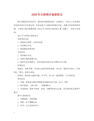 2020年大班周计划表范文 