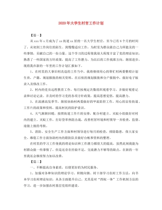 2020年大学生村官工作计划 