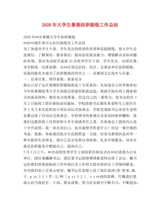 2020年大学生暑期挂职锻炼工作总结 